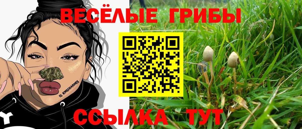 Галлюциногенные грибы мицелий Армавир